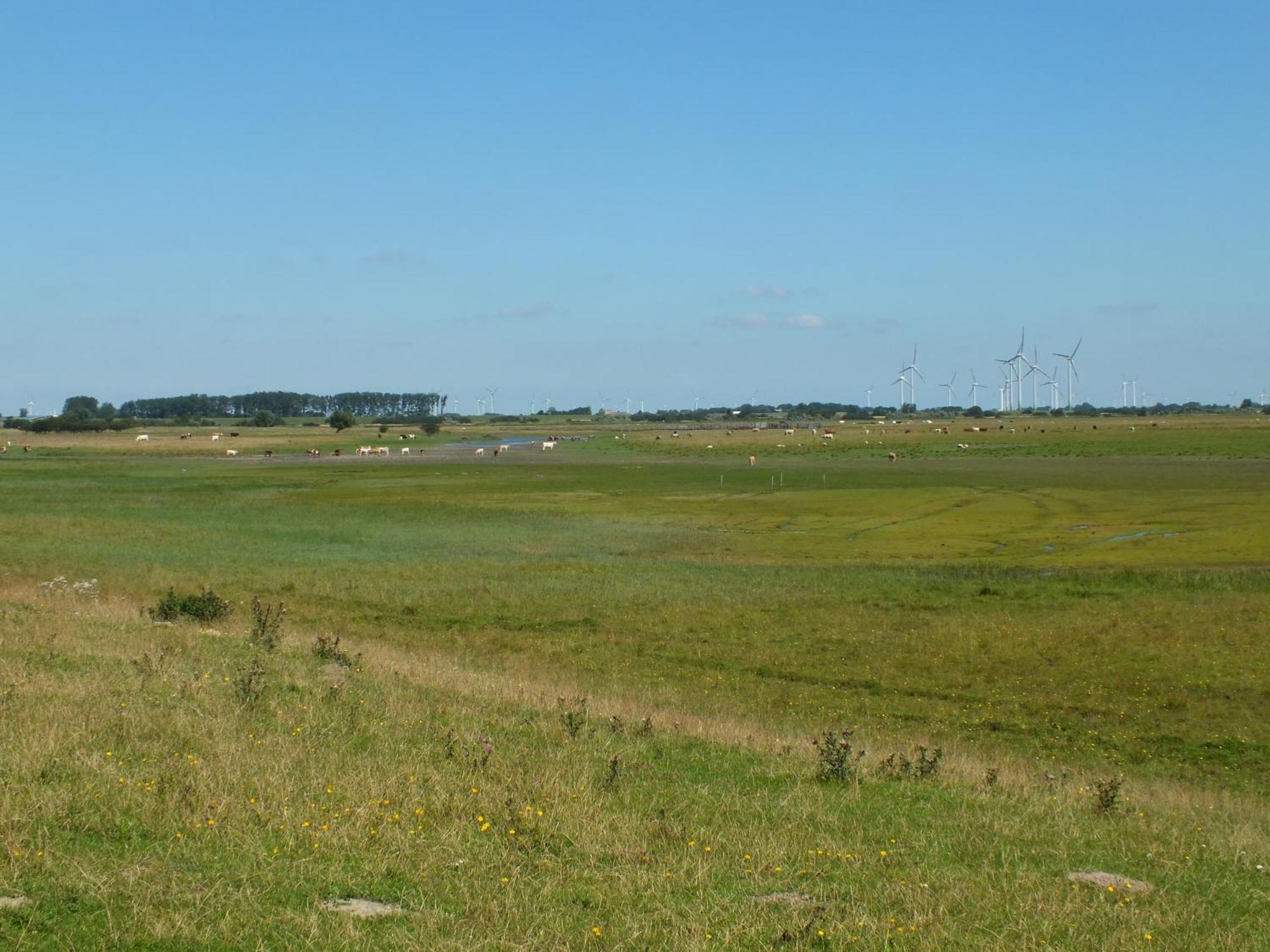 Ferienwohnung In Osterdeichstrich Oesterdeichstrich Bagian luar foto